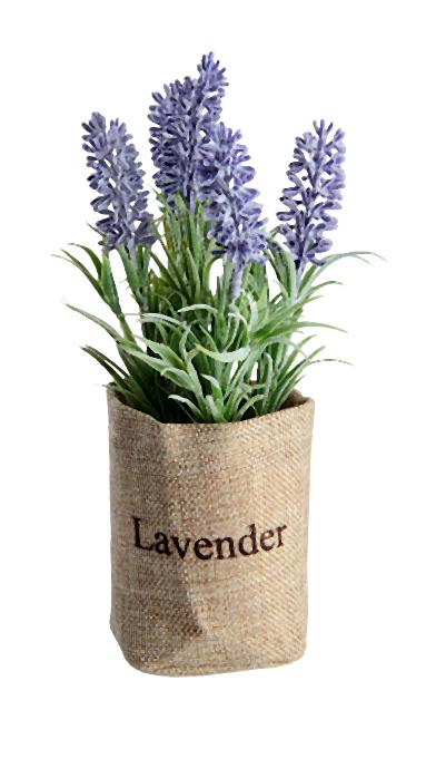 Jesienna kolekcja Empiku ?Urok Prowansji?